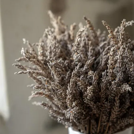 Ferme Sarthou Maison d'hôtes 4*